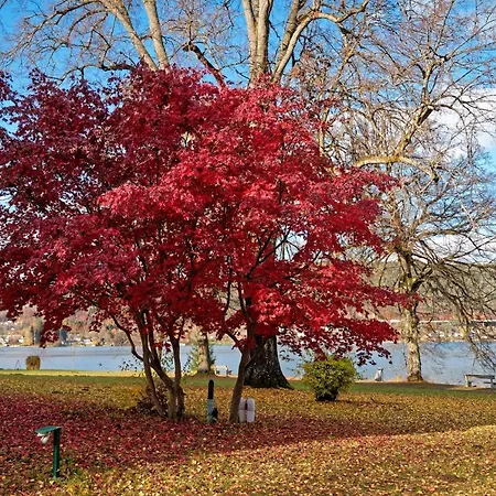 אכסניה Jugend- Und Familiengaestehaus Cap Woerth וולדן אם וורתרסי