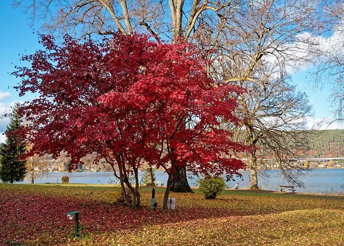 Hostal Jugend- Und Familiengaestehaus Cap Woerth Velden am Wörthersee